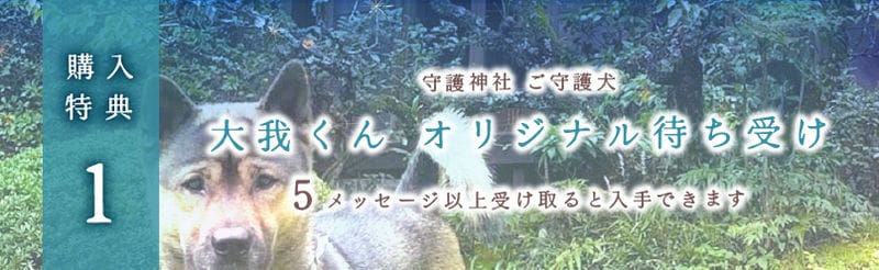 5個以上購入でDLページへ遷移