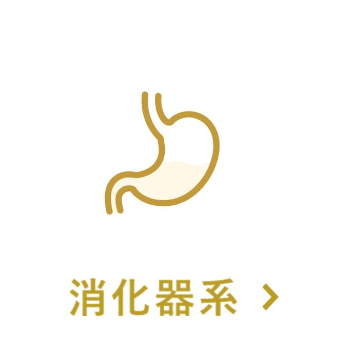 消化器系