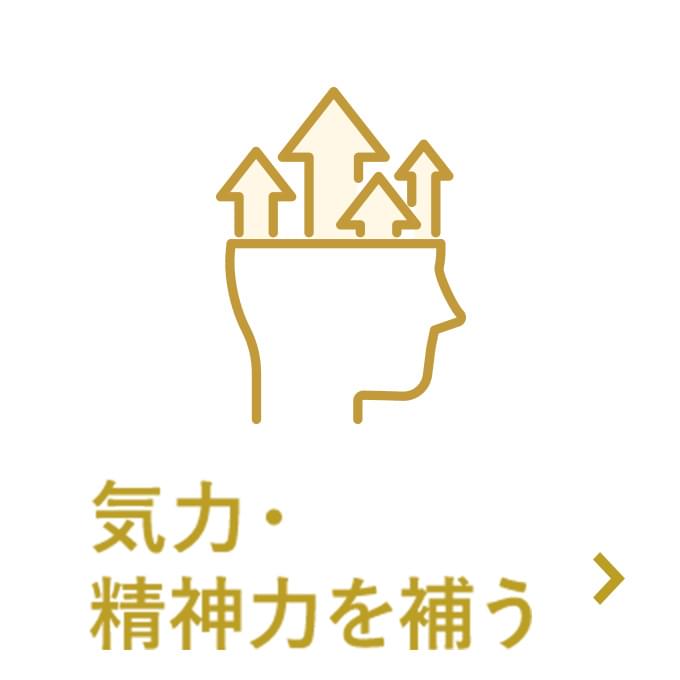 気力・精神力を補う